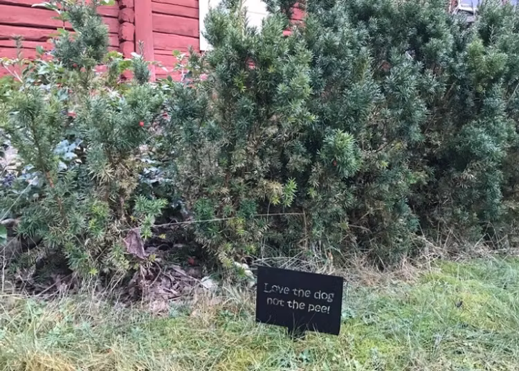 Skylt att trycka ned i marken vid en häck. Texten love the dog not the pee.