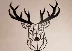 Hjorthuvud, Geometriskt