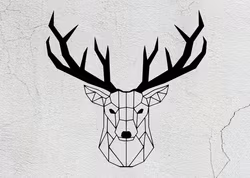 Hjorthuvud, Geometriskt