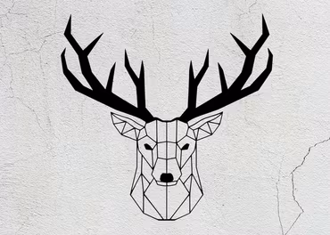 Hjorthuvud, Geometriskt