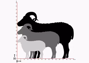 Fasaddekor Får, Bagge
