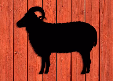 Fasaddekor Får, Bagge