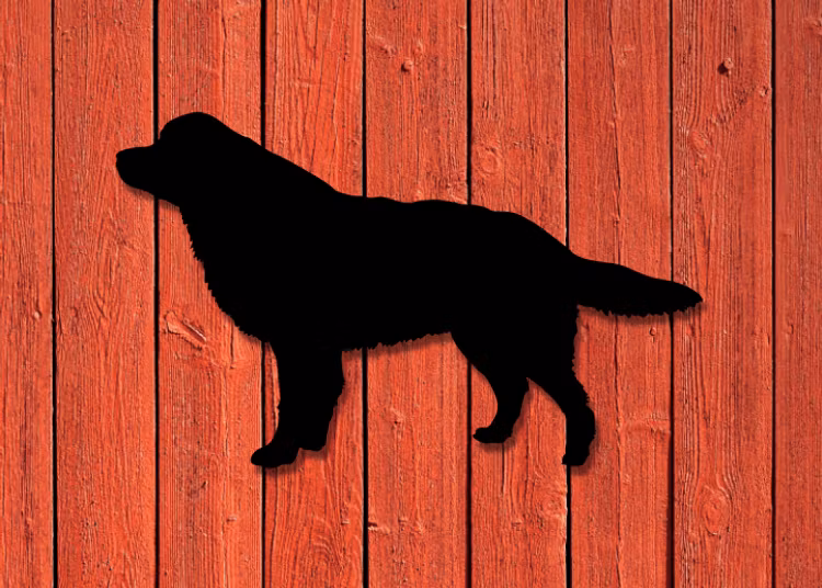 Siluett i plåt av en Berner Sennen hund, svartlackerad.