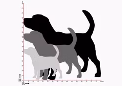 Fasaddekor Hund, Beagle