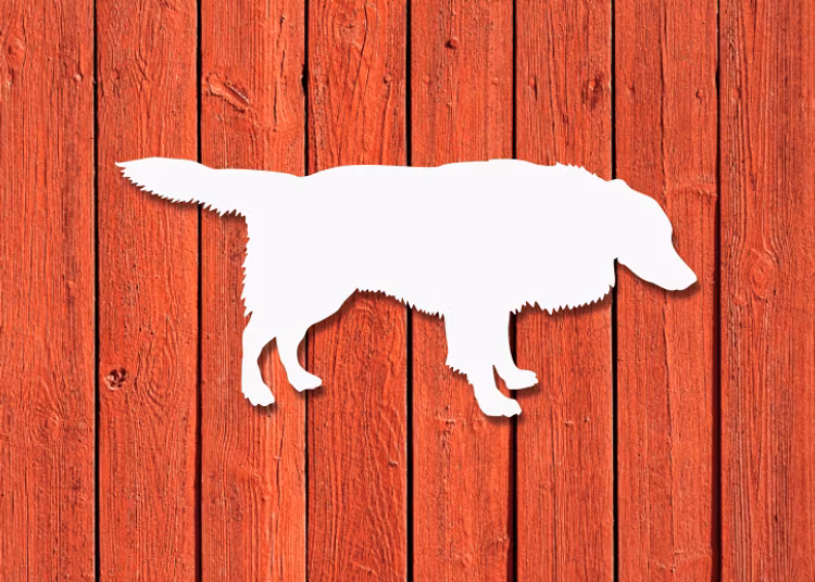 Vit Border Collie-siluett på röd husvägg.