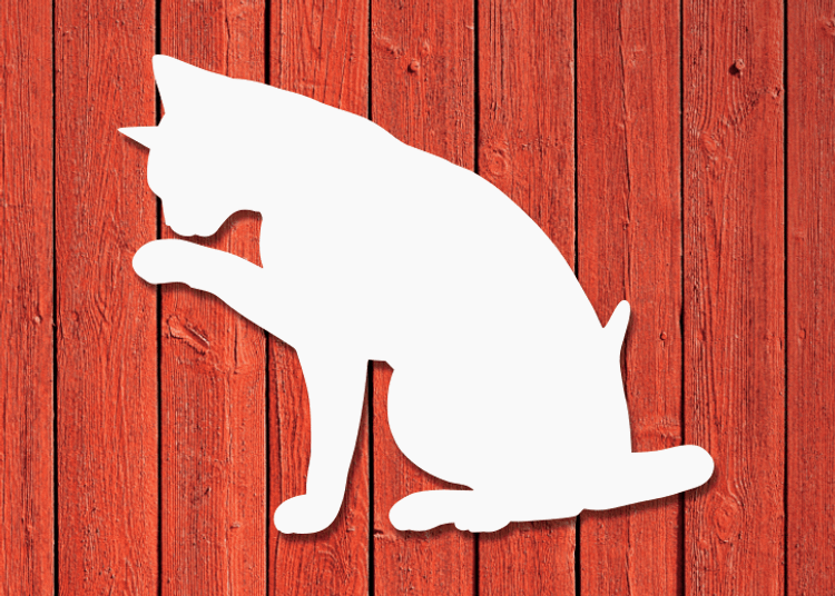 Vit siluett av katt mot röd trävägg.