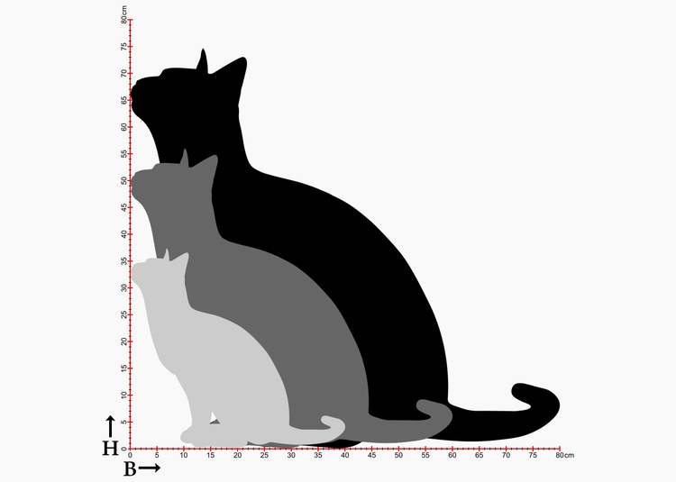 Fasaddekor med kattmotiv i 3 storlekar.