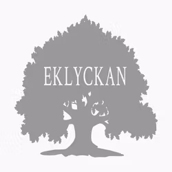 EKLYCKAN 60x60