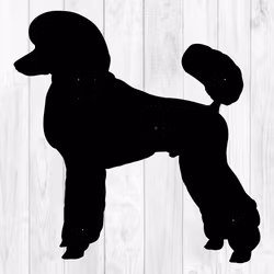 Special 135, Pudelsiluett