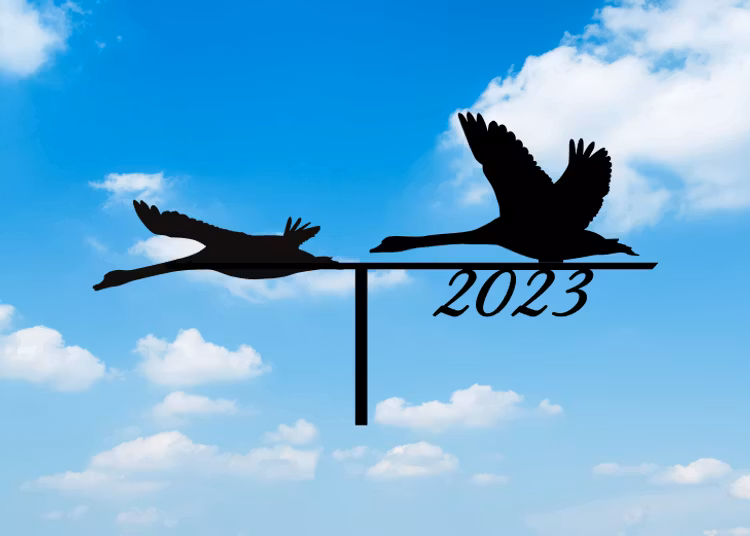 Vindflöjel Gäss 2023