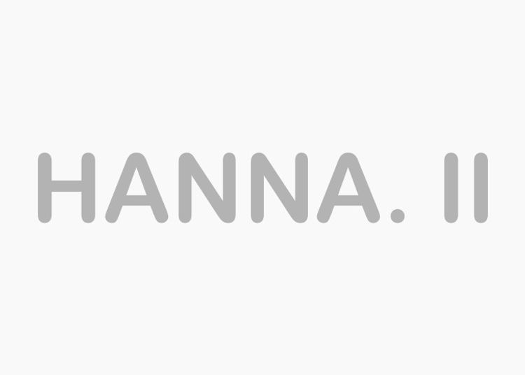 Bokstäver rostfritt HANNA. II