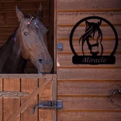 Personlig skylt med Häst - "Friheten"