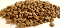 Guatemala  Finca San José Ocana,  Honey 24/287 Traceability, 1kg