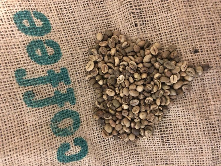 Colombia Women Coffee Project, Cauca, 1kg
