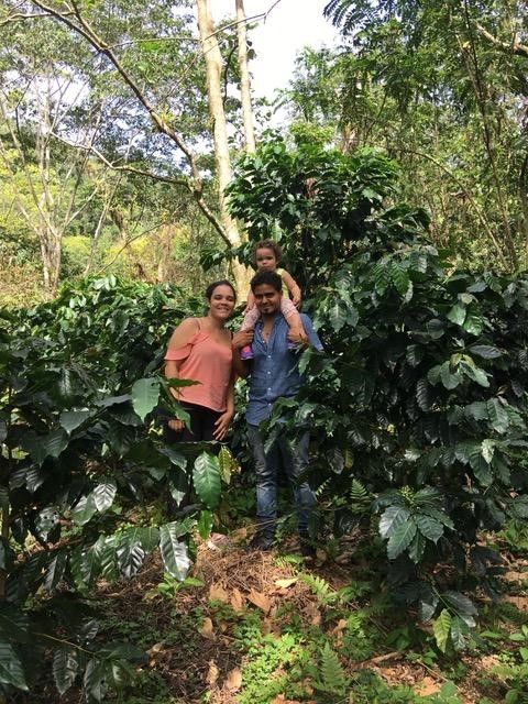 Dominican Rep- Washed Barahona AA Excellence, 23/518, 1kg