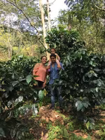 Dominican Rep- Washed Barahona AA Excellence, 2024/0560, 1kg