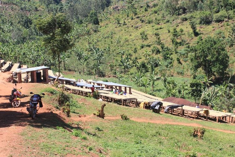 Rwanda Fully Washed Bourbon Gahara, Traceability, 1kg