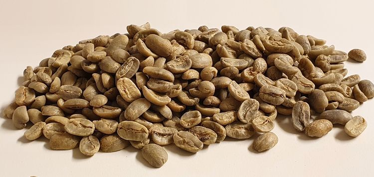 Guatemala  Maragogype, Excellence, 1 kg