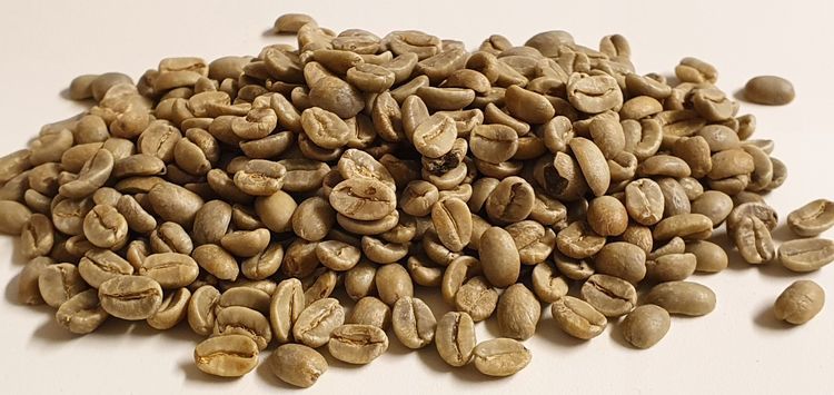 Dominican Rep- Washed Barahona AA Excellence, 23/518, 1kg