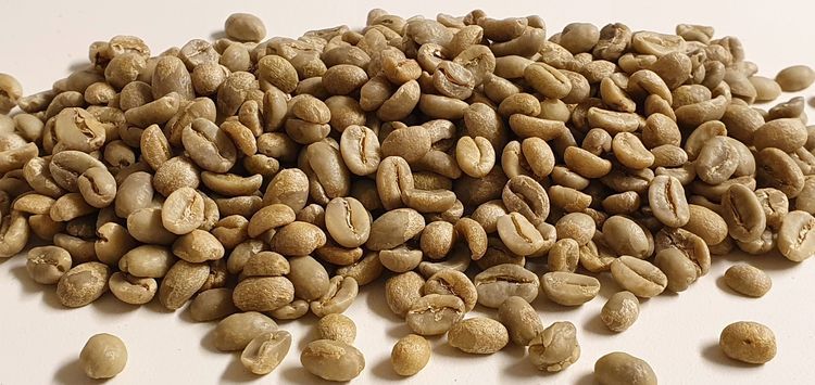 Ethiopia Washed Sidamo Top Gr.2 - Bensa, Traceability,  1kg