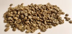 Tanzania Tanga AA , Washed, 1kg