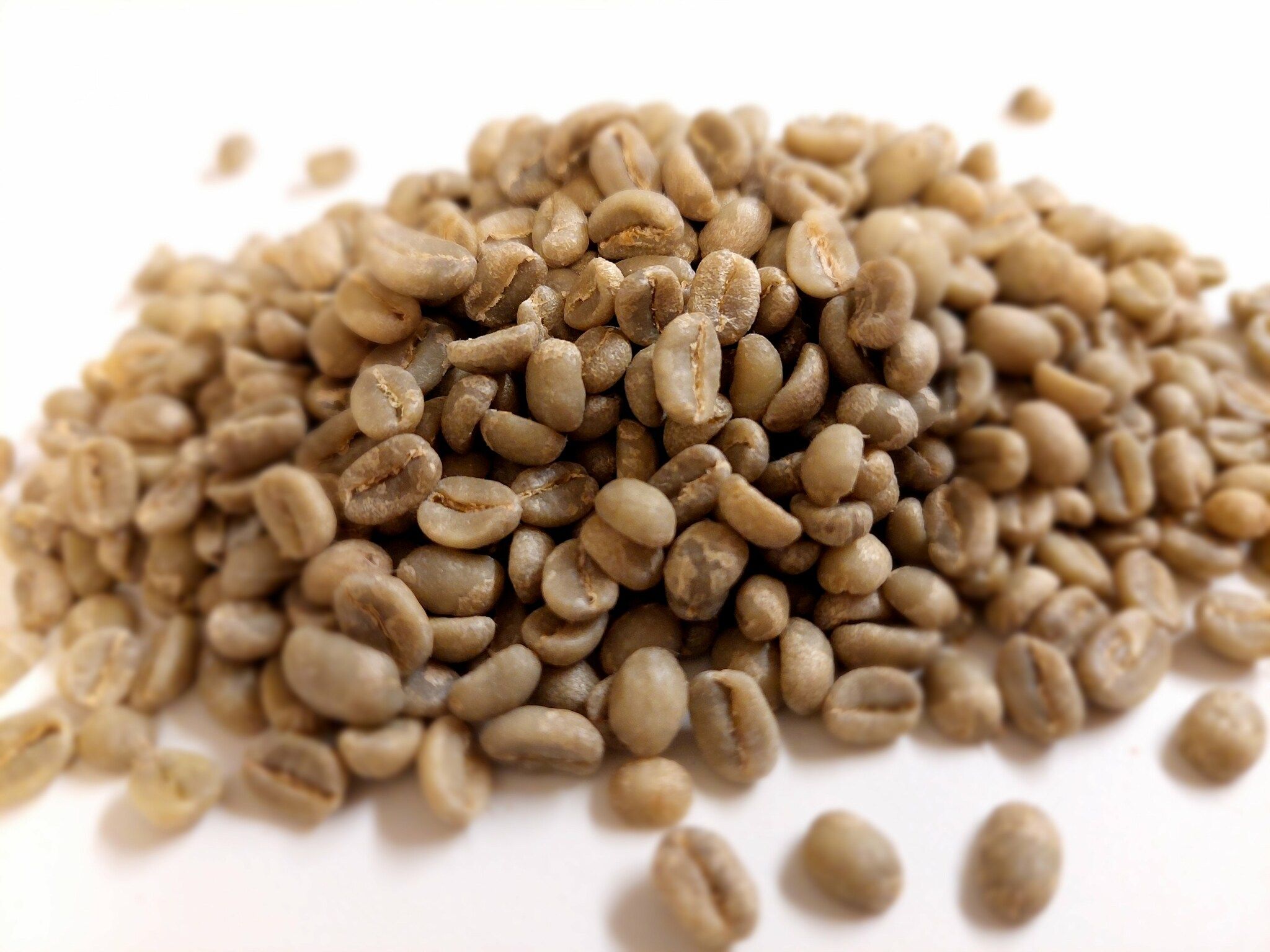 India Robusta Monsooned  AA