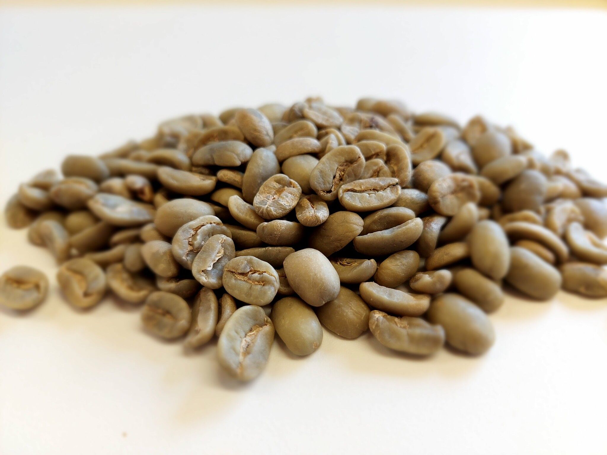 Guatemala  Maragogype, Excellence, 1 kg