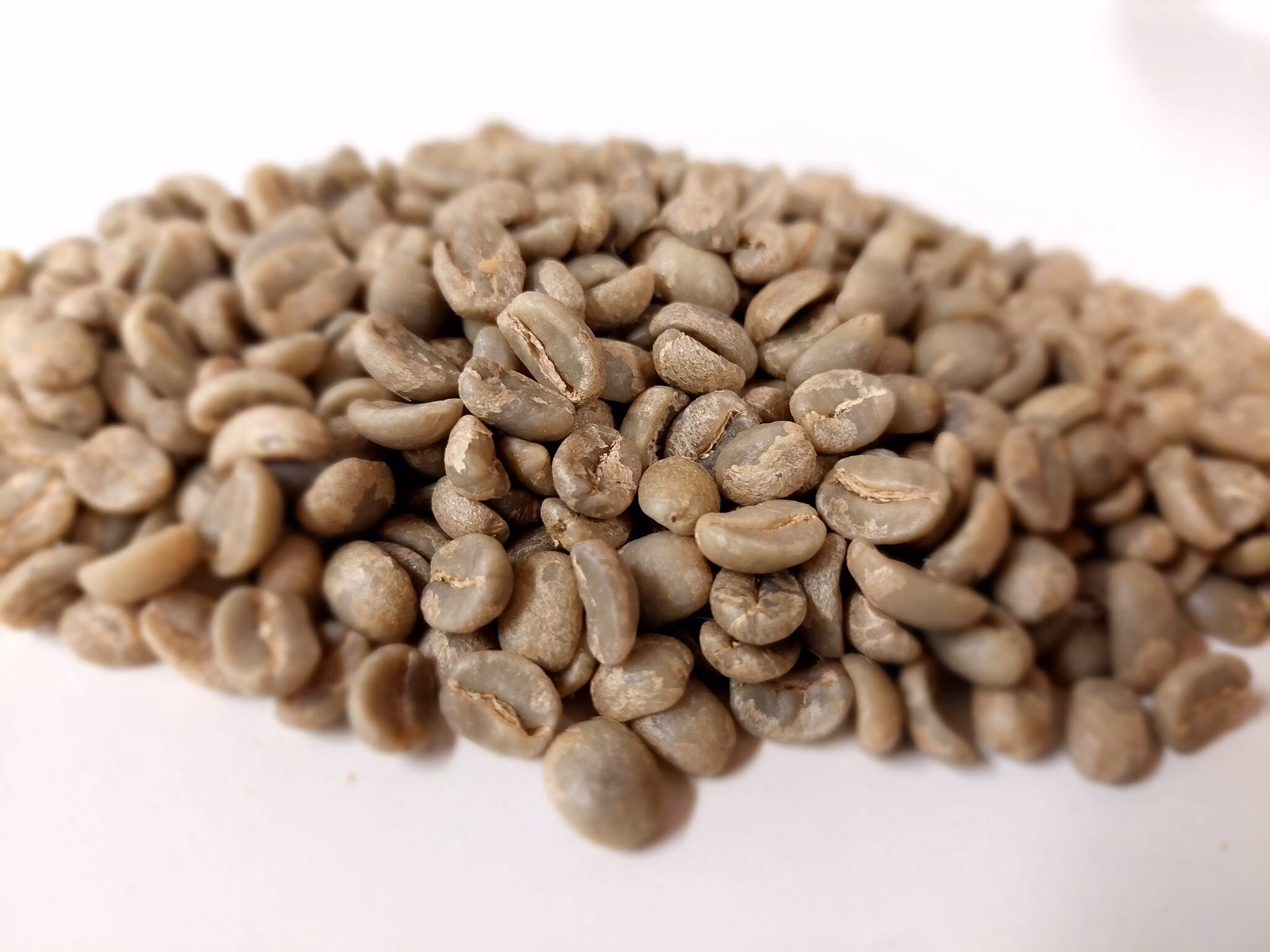 Guatemala Flor de Coban SHB, Washed, 1kg