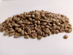Colombia Women Coffee- San Alberto 2025/0115, Washed, Traceability 1kg