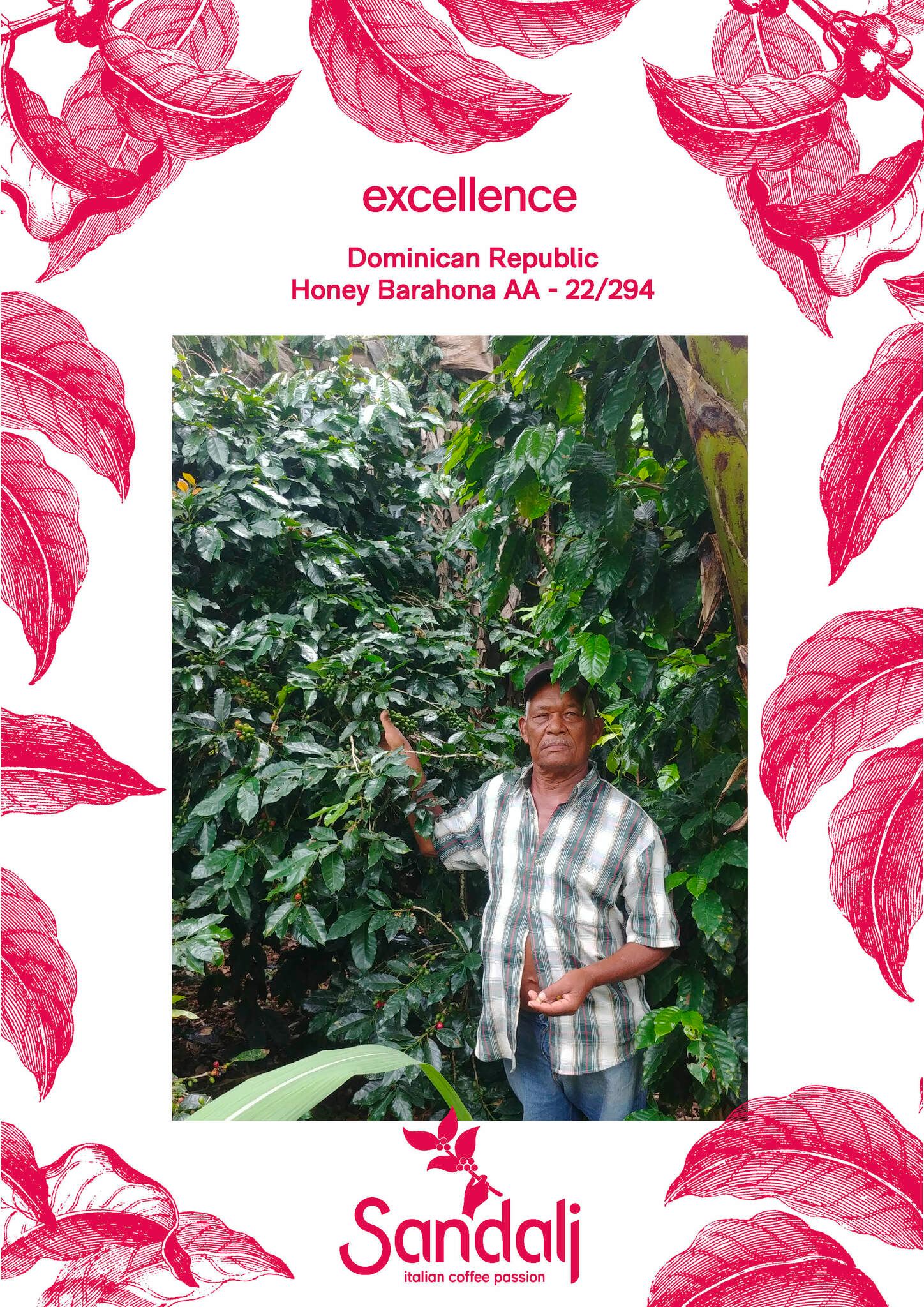 Dominican Republic  Barahona AA, Excellence, Honey, Traceability, 1kg