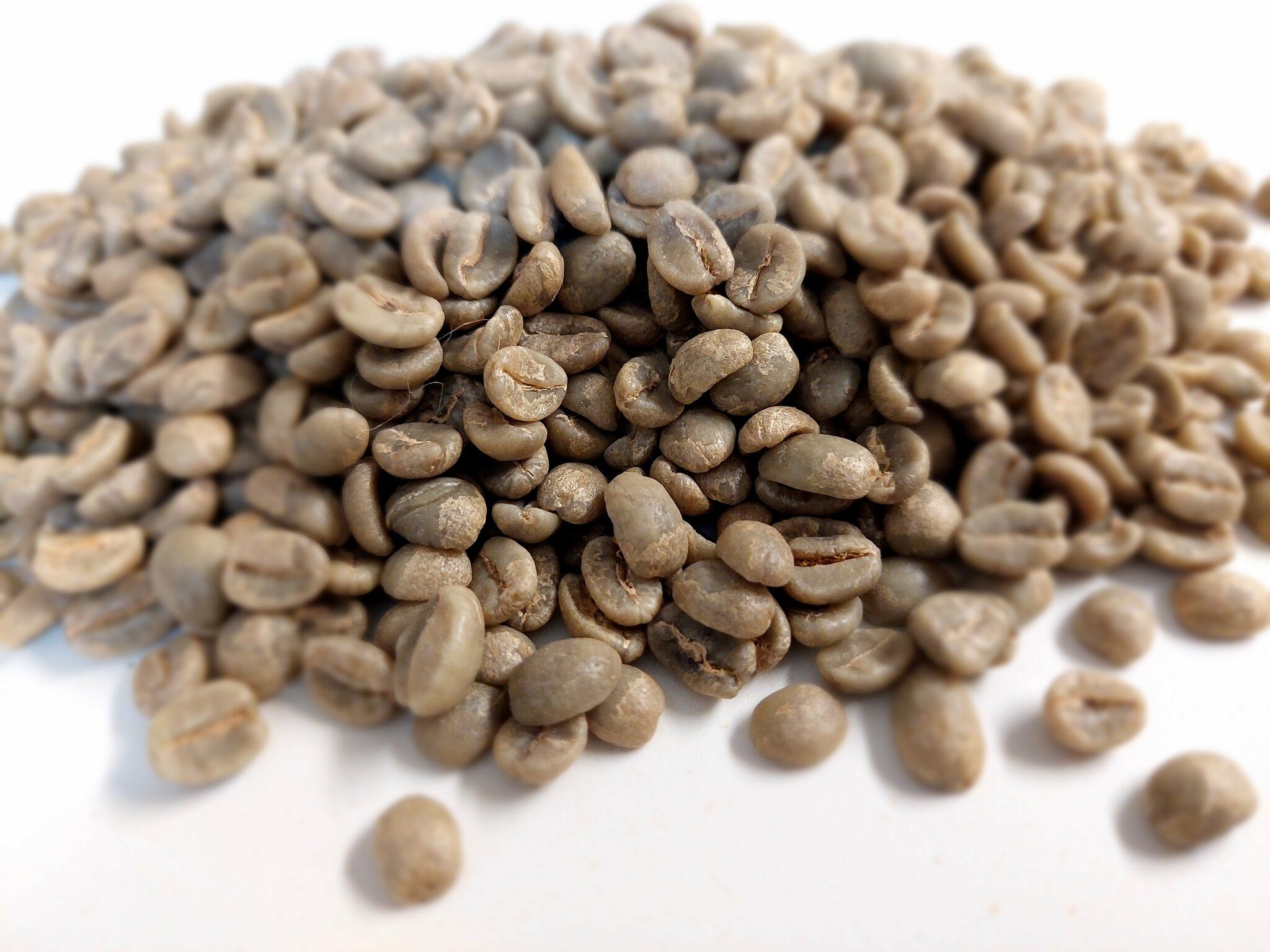 Kenya Washed AA T Top Thunguri, Traceability Project, 1kg