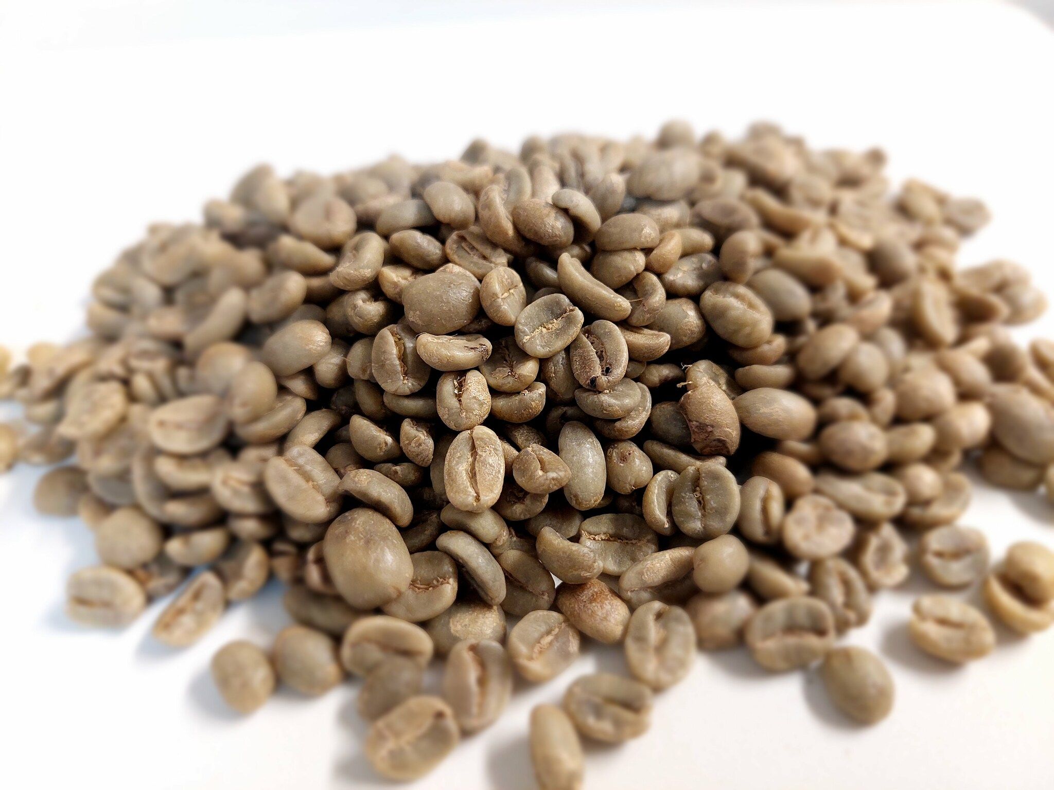 Guatemala, Washed,  Finca La Demora, Traceability Project, 1kg