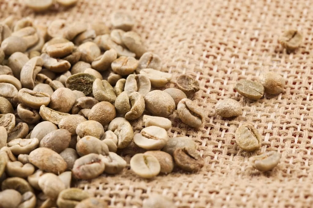 Indonesia Sumatra Mandheling, Gayo Mountain Gr 1, Excellence, 1kg