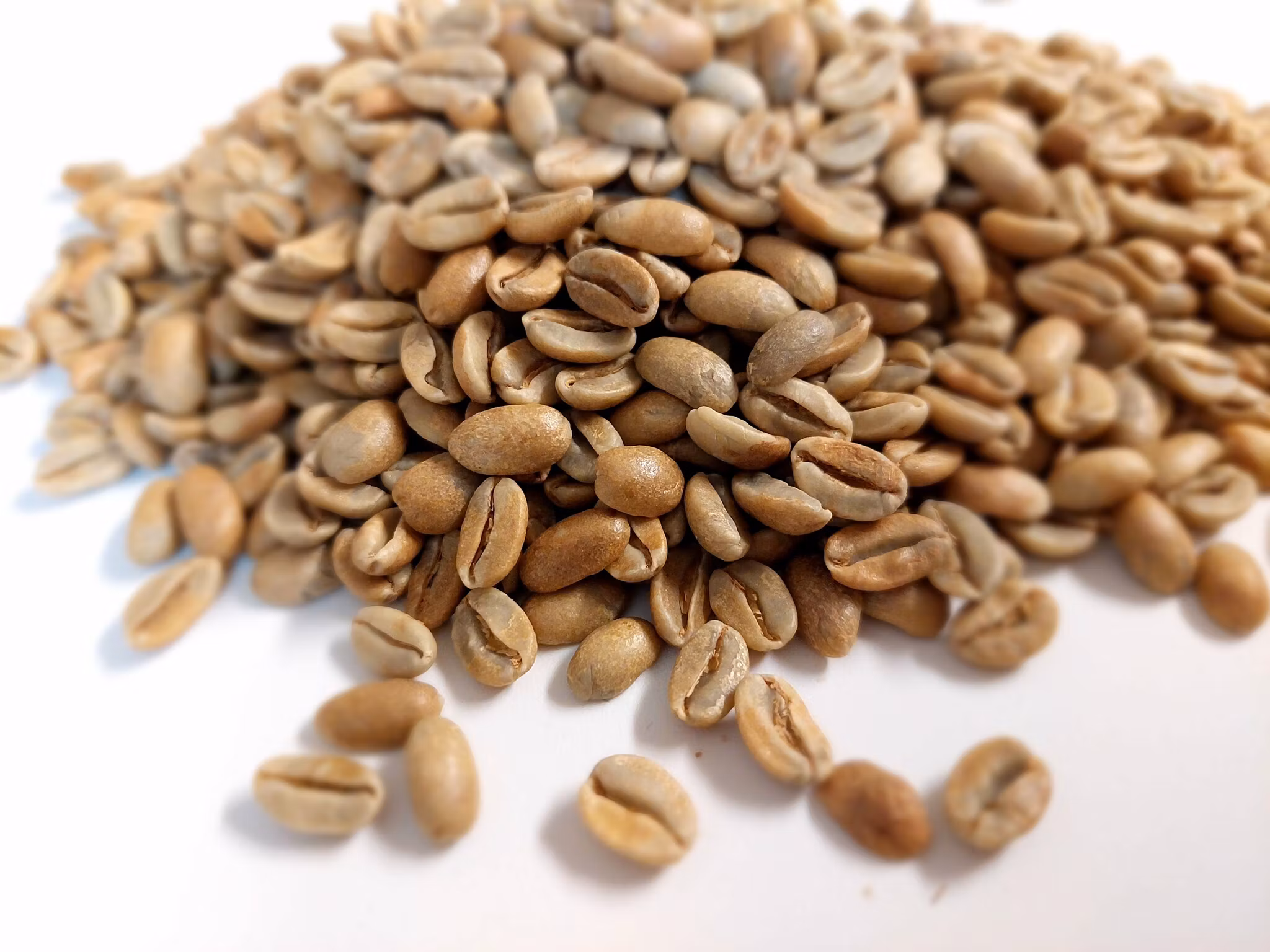 Nicaragua, Finca El Cipres-Parainema,  Natural Anaerobic, 1kg