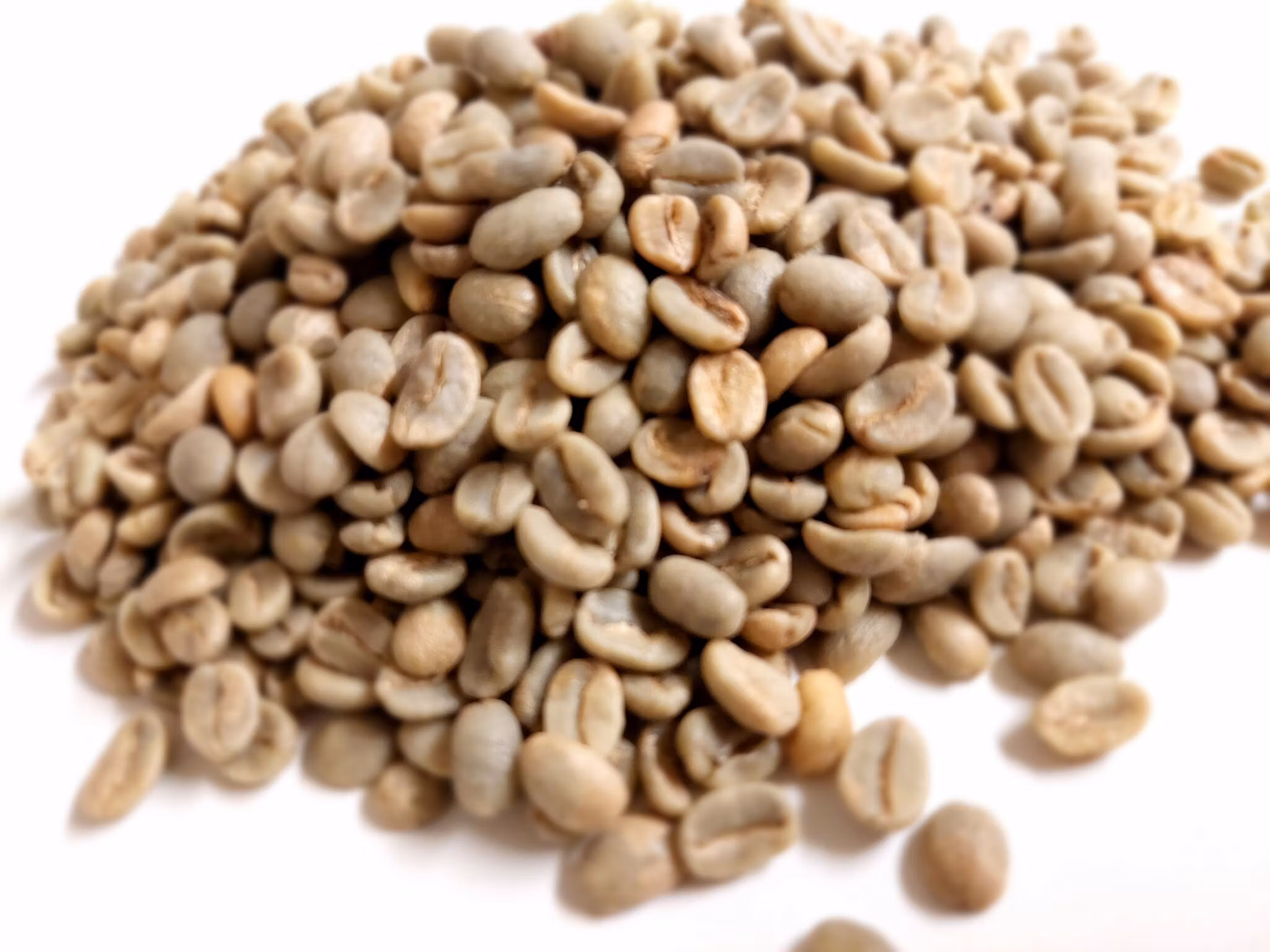 Colombia, Kelly Cordoba La Golondrina, Long Fermentation, Traceability, 1kg