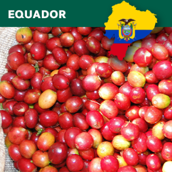 Ecuador, Finca La Marquesa, Loja,washed, Traceability Project, 1kg