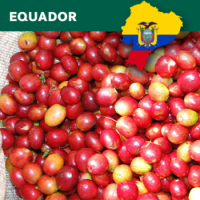 Ecuador, Finca La Marquesa, Loja,washed, Traceability Project, 1kg