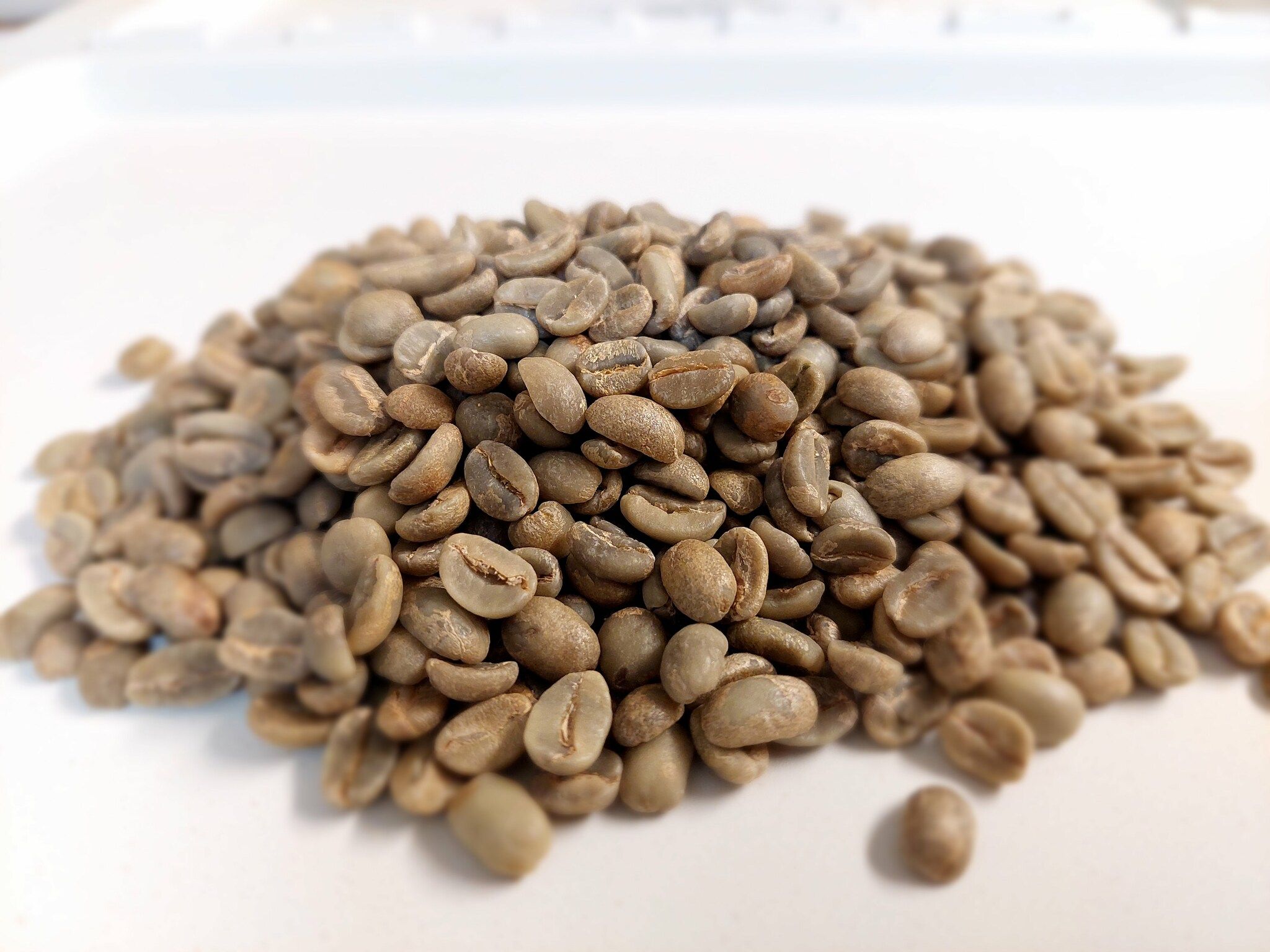Ecuador, Finca La Marquesa, Loja,washed, Traceability Project, 1kg