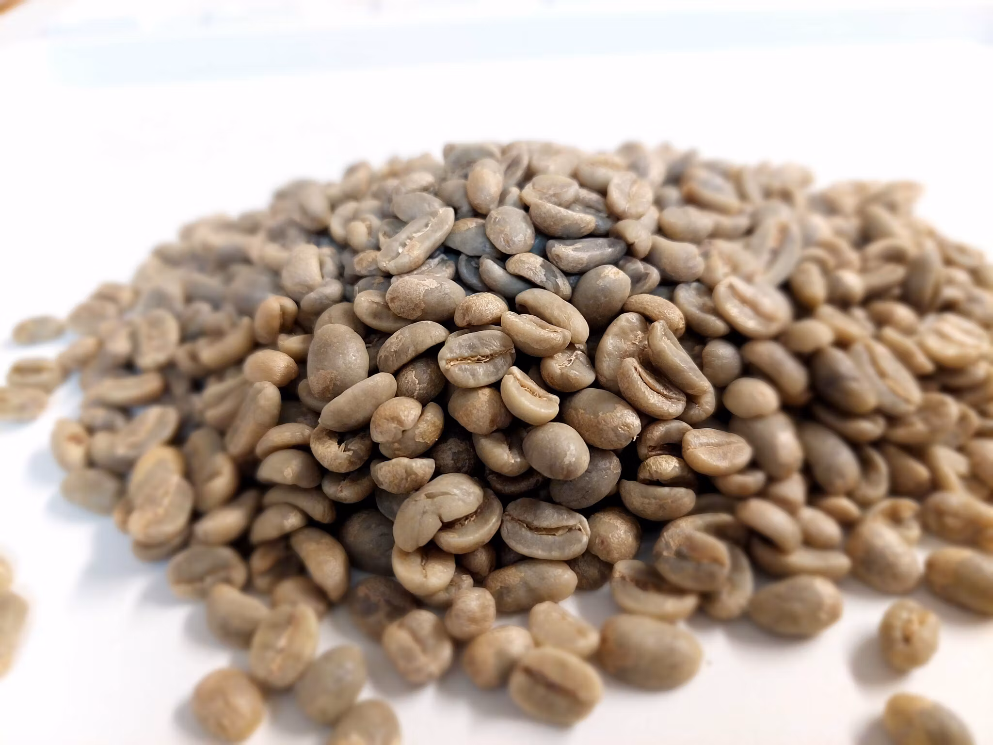 Nicaragua Finca las Morenitas, SHG EP, Washed, 1kg