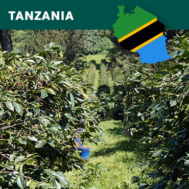 Tanzania, PB South, Nyasi Furaha RAC, Washed, 1kg