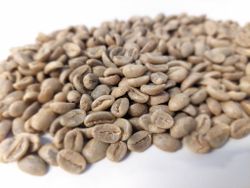 Nicaragua Java, Los Altiplanos, Washed, 24/224, Traceability, 1kg