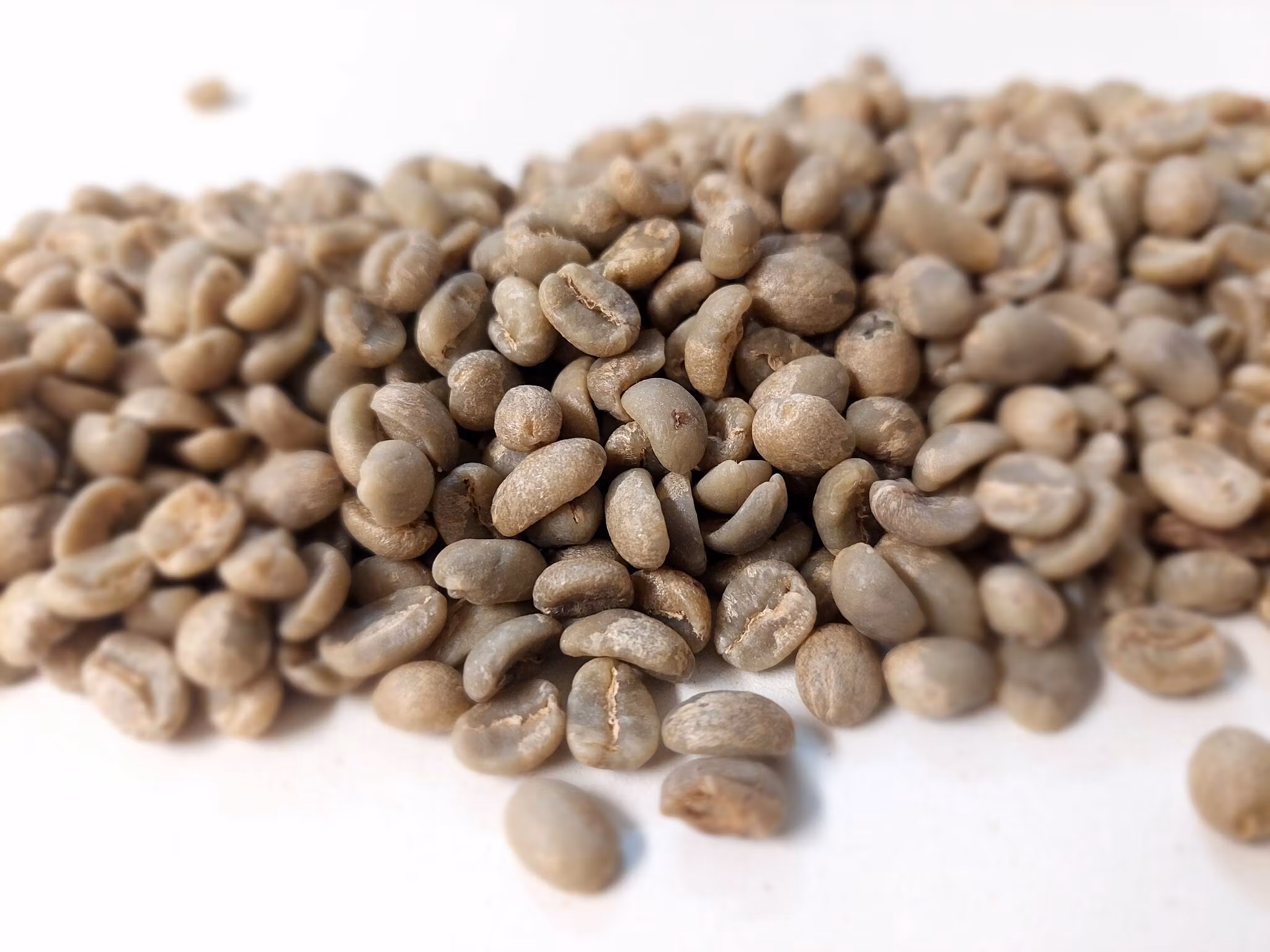 Kenya AB Plus Ruka Chui, washed, 1kg