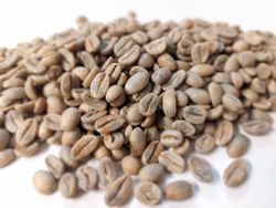 El Salvador, Las Mercedes Reserve Microlot, Washed, 1kg