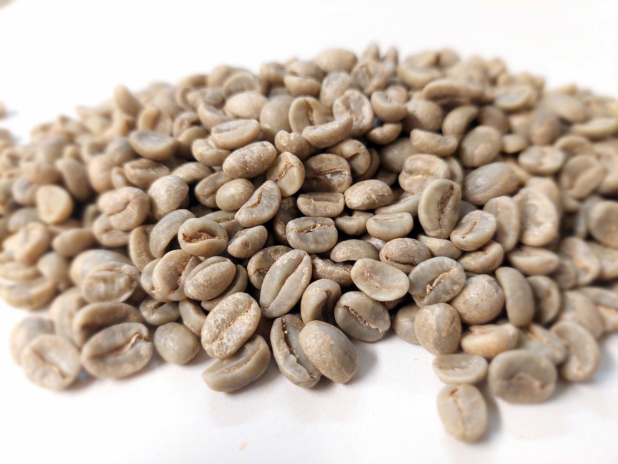 Honduras Carmelo Puro, SHG EP, Washed, 1kg