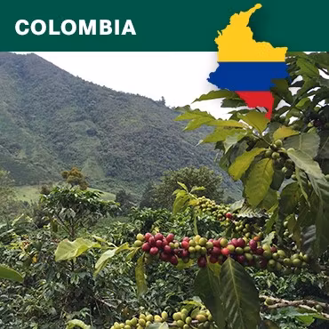 Colombia Decaf, Water, 1kg
