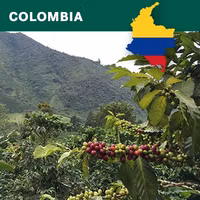 Colombia Decaf, Water, 1kg