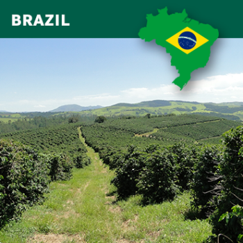Brazil Arabica, NY2/3 Good Cup, Strictly Soft, Natural, 1kg