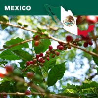 Mexico Chiapas Altura EP, Washed, 1Kg