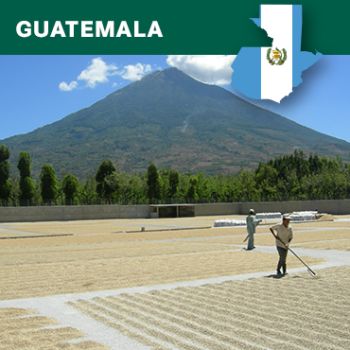 Guatemala Santa Rosa, Finca La Pastoria HB, EP, Washed, 1kg