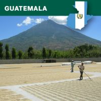 Guatemala Santa Rosa, Finca La Pastoria HB, EP, Washed, 1kg
